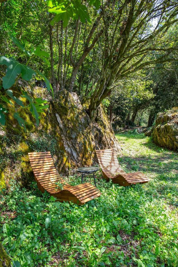 Vibe Luxury Cabins Арнуэро Экстерьер фото